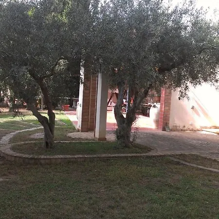 Delle Ninfee