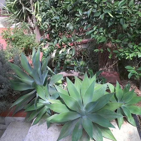 Ferienhaus Delle Ninfee Mazara del Vallo