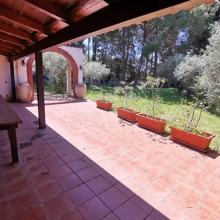 Delle Ninfee Ferienhaus Mazara del Vallo